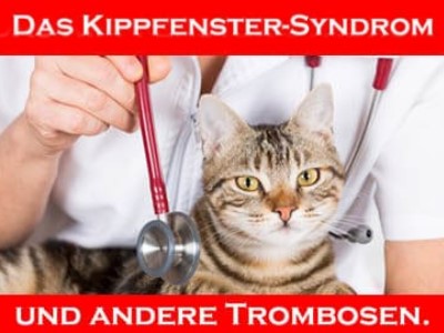 Das Kippfenster-Syndrom. Die oft unterschätzte Gefahr. 