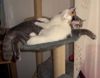 Luigi und Zora