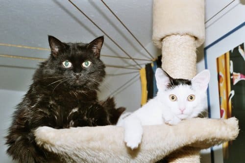 Knusper und Würmchen