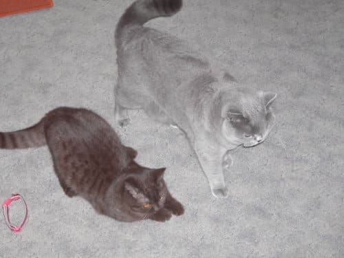 Kitty und Sina