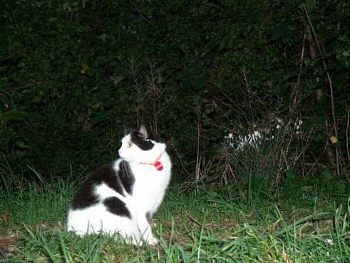 Fotos aus dem Familienalbum