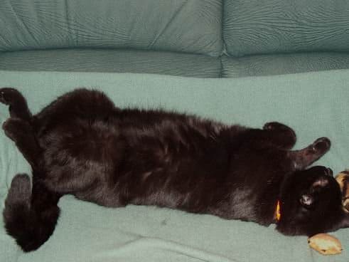 Fotos aus dem Familienalbum