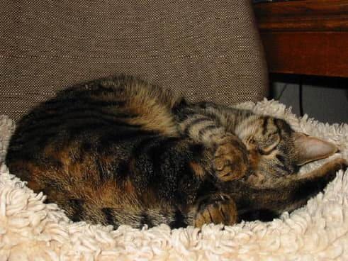 Fotos aus dem Familienalbum