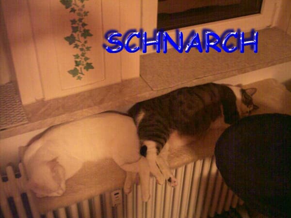 Spot und Floh