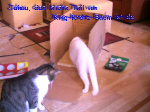 Spot und Floh