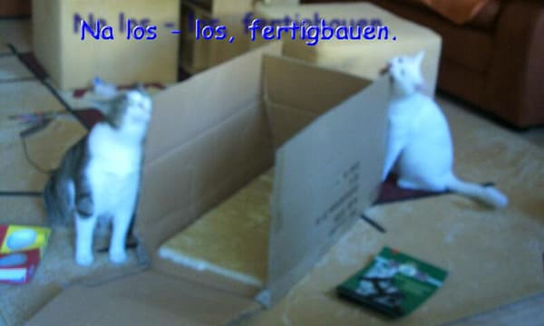 Spot und Floh