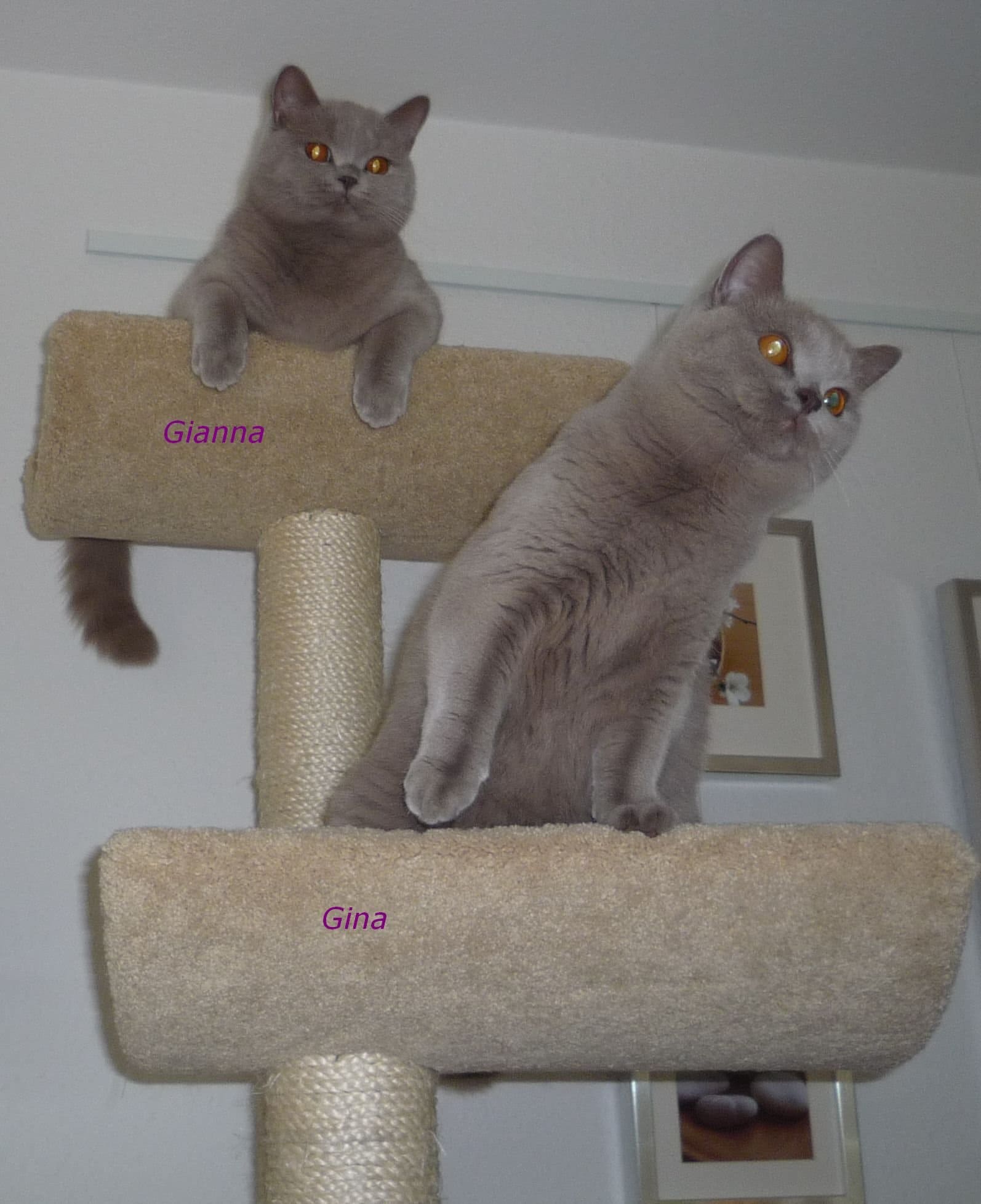 Gina und Gianna
