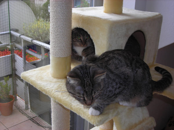 Carlo und Lilly