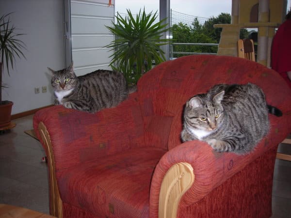 Lilly und Carlo
