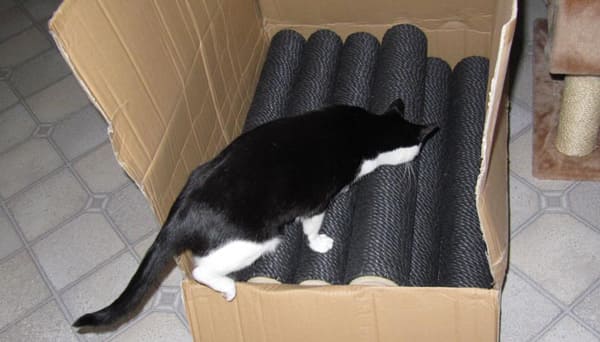 Wareneingangskontrolle durch Calu Wareneingangskontrolle durch Calu
