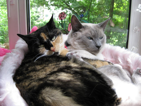 Xaver und Julie