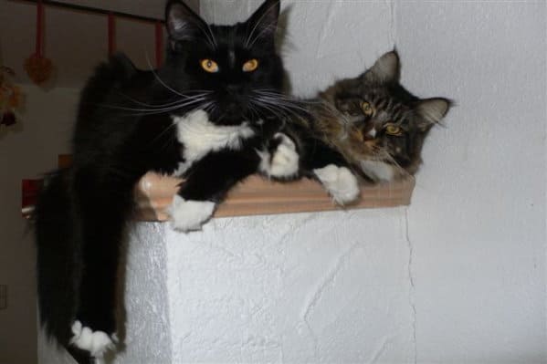 Pünktchen und Anton