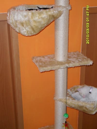 Unsere Kratzbäume Unsere Kratzbäume