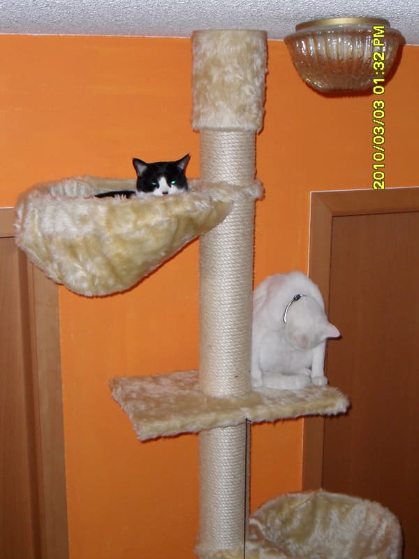 Pünktchen und Felix Pünktchen und Felix