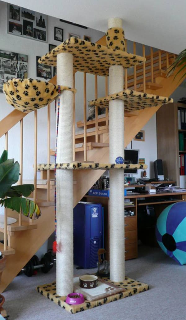 Raphael´s neuer Kratzbaum