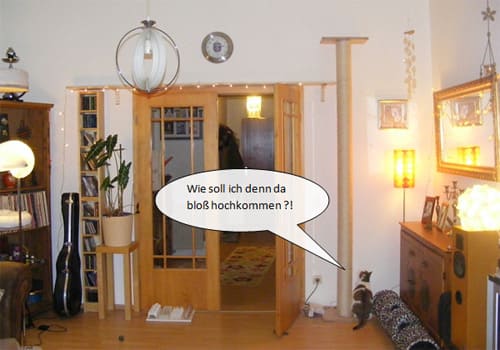 Wie soll ich denn da ...