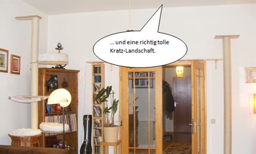und eine tolle Kratzbaum-Landschaft