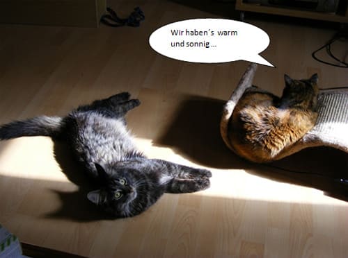 Wir haben´s warm