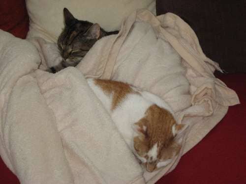 Max und Tina