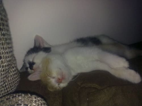 Mia und Paolo
