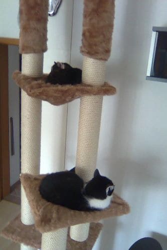 Benjamin und Lisbeth