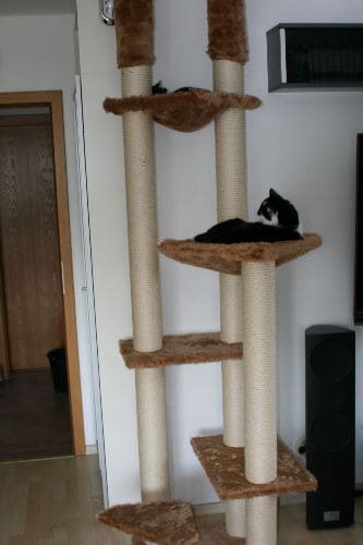 Benjamin und Lisbeth