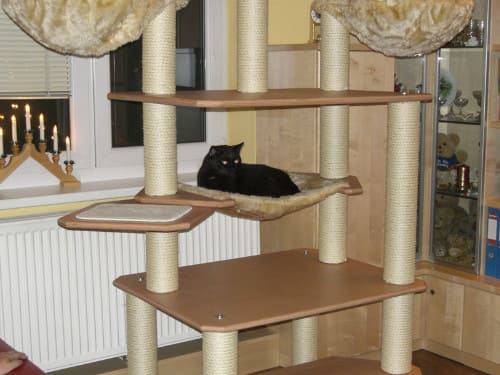 Jimmy und Tinka