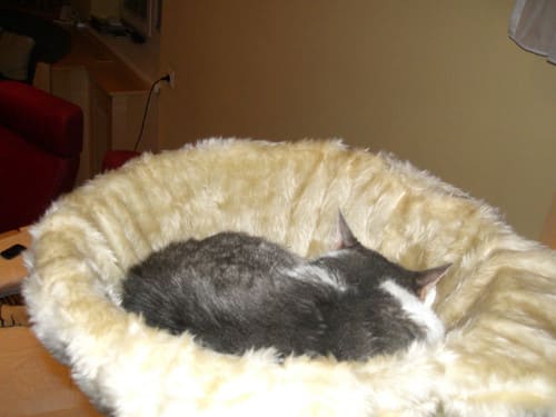 Jimmy und Tinka