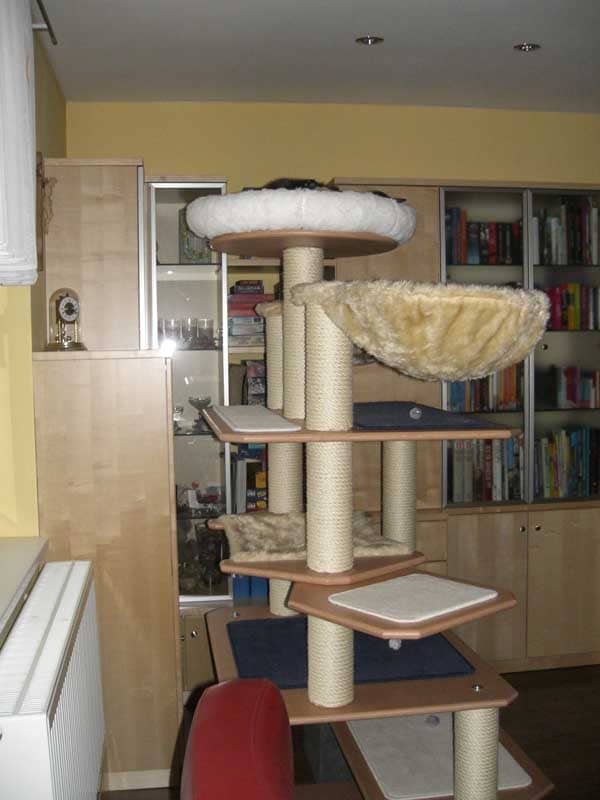 Jimmy und Tinka