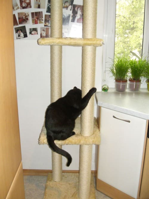 Jimmy und Tinka