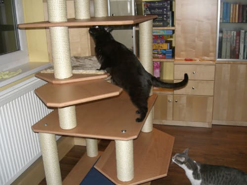 Jimmy und Tinka