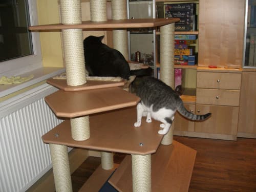 Jimmy und Tinka