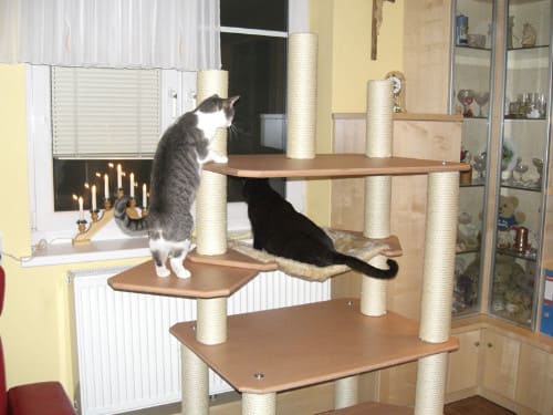 Jimmy und Tinka
