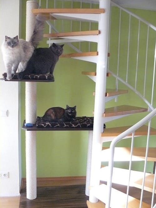 Luii Balu und Hexe