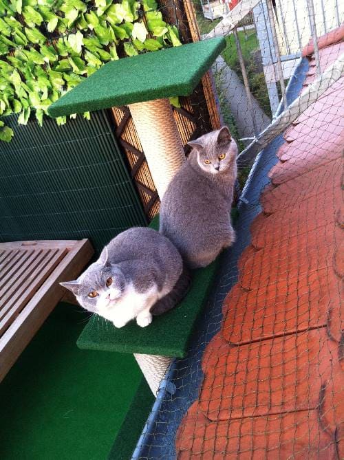 Emily und Sally