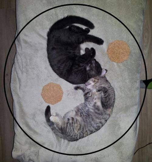 Ying und Yang