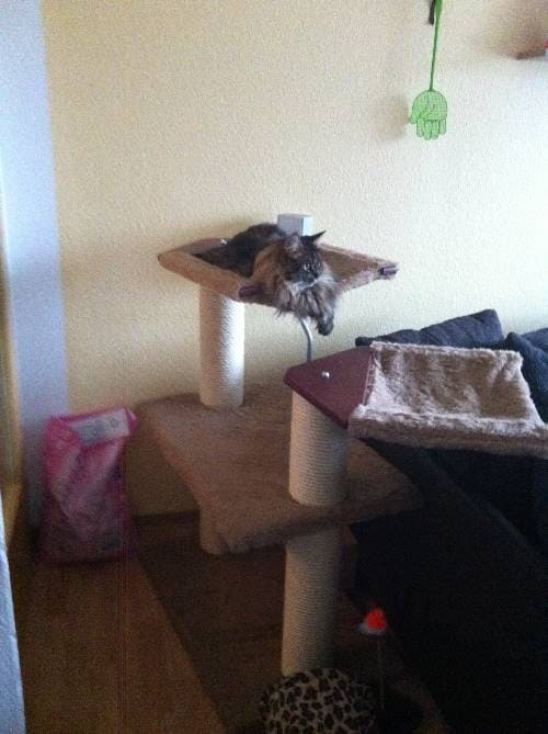 Marley und Bloomfort
