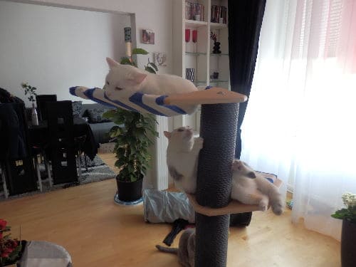Luna, Baby und Leni
