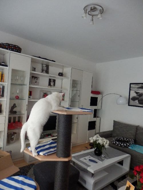Luna, Baby und Leni