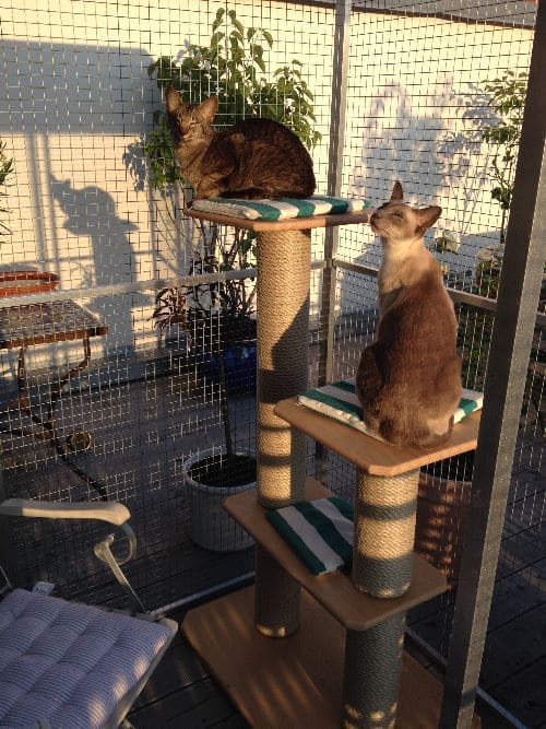 Xaverl und Pino