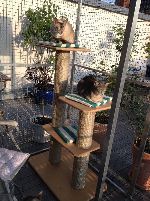 Xaverl und Pino