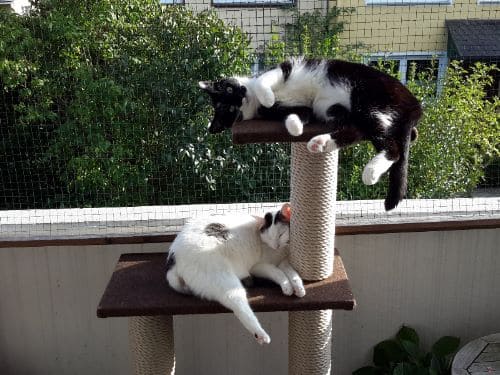 Mia und Lala