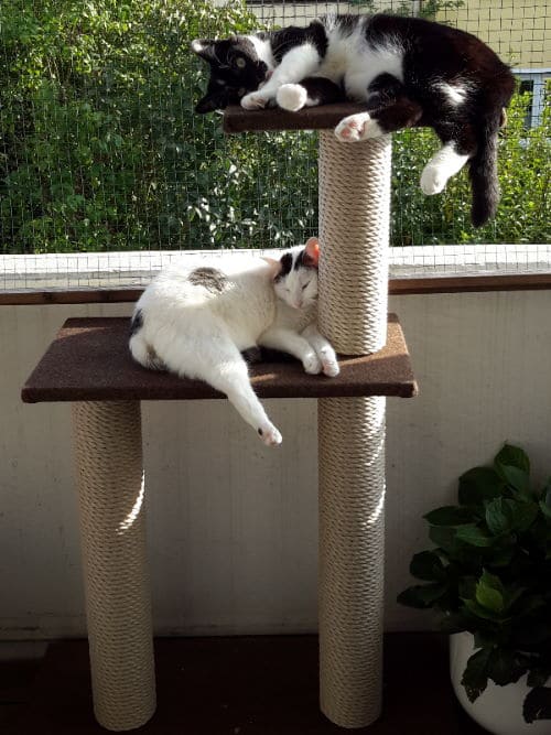 Mia und Lala