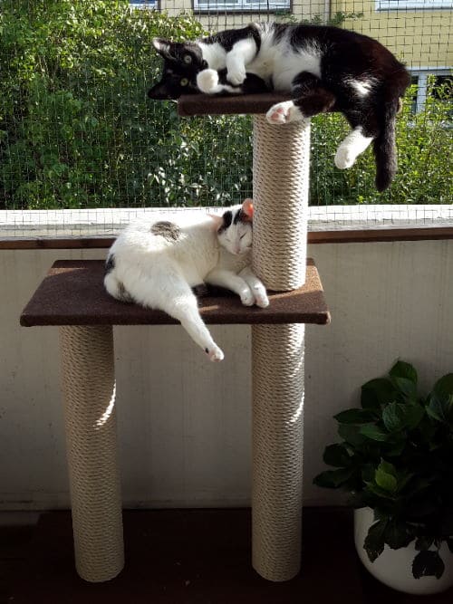 Mia und Lala