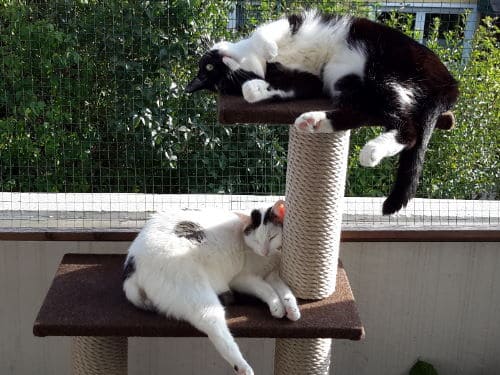 Mia und Lala