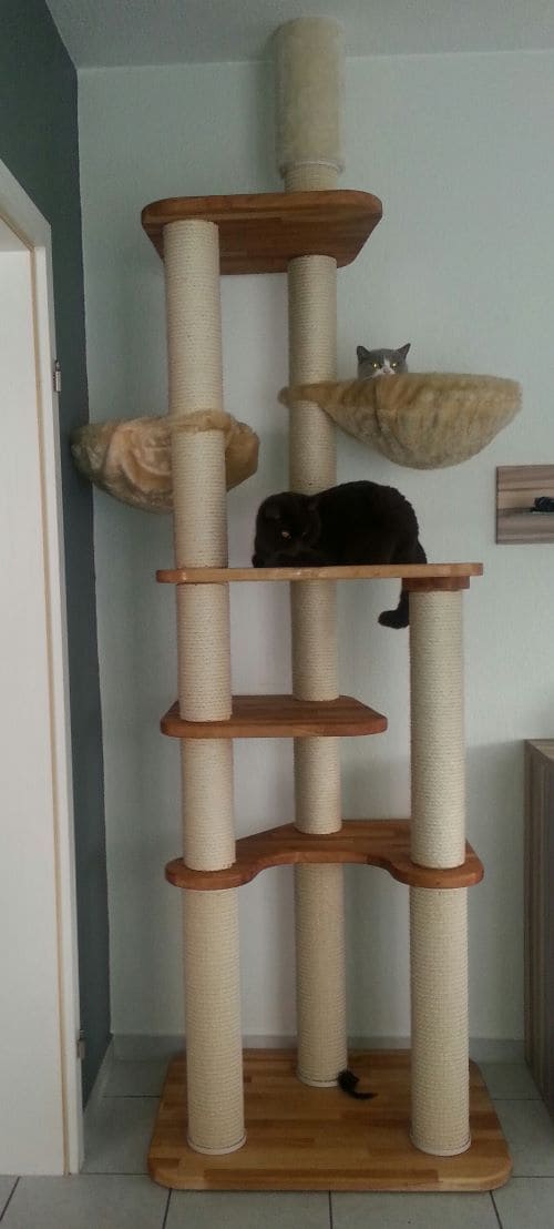 Tipsie und Charlie