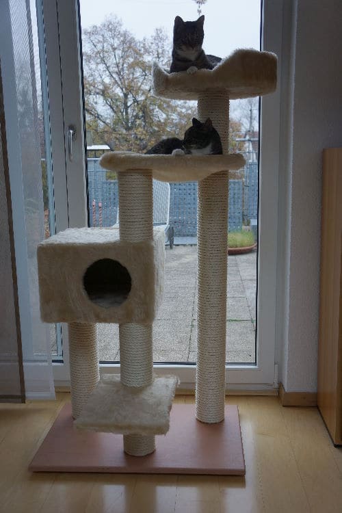 Marley und Jamie