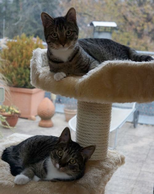 Marley und Jamie