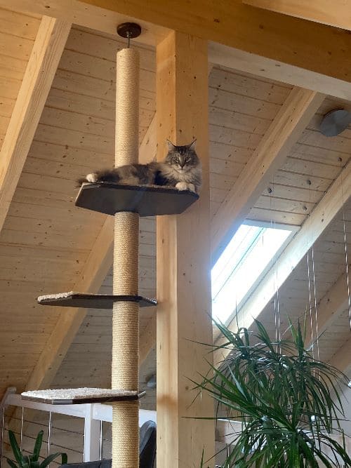 Lennox und Luna