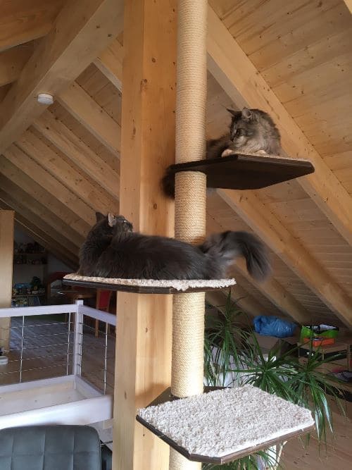 Lennox und Luna